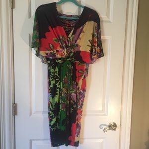 ANTHROPOLOGIE dress
